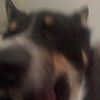 hypno_tize